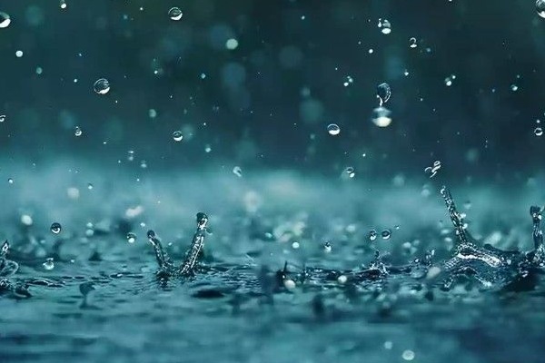 雨