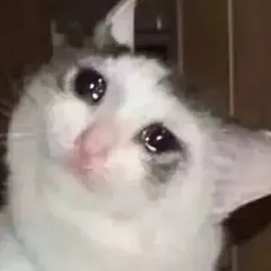曦黎伴我同行