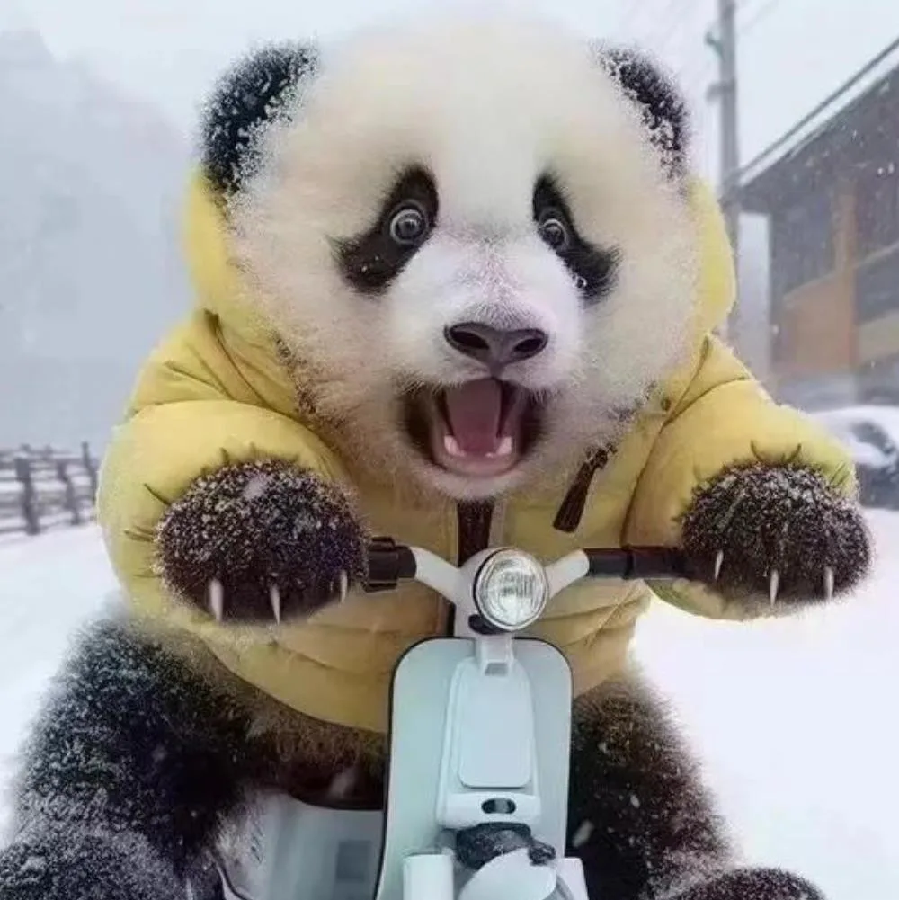 哦嚯嚯4377
