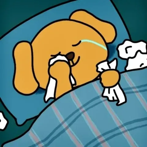 陶JJ的床边故事