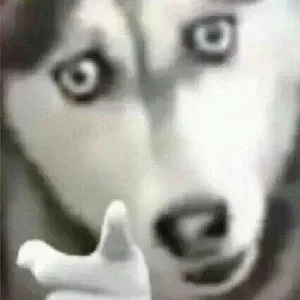 RumkkZ
